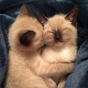 Meet your Posher, Naomi